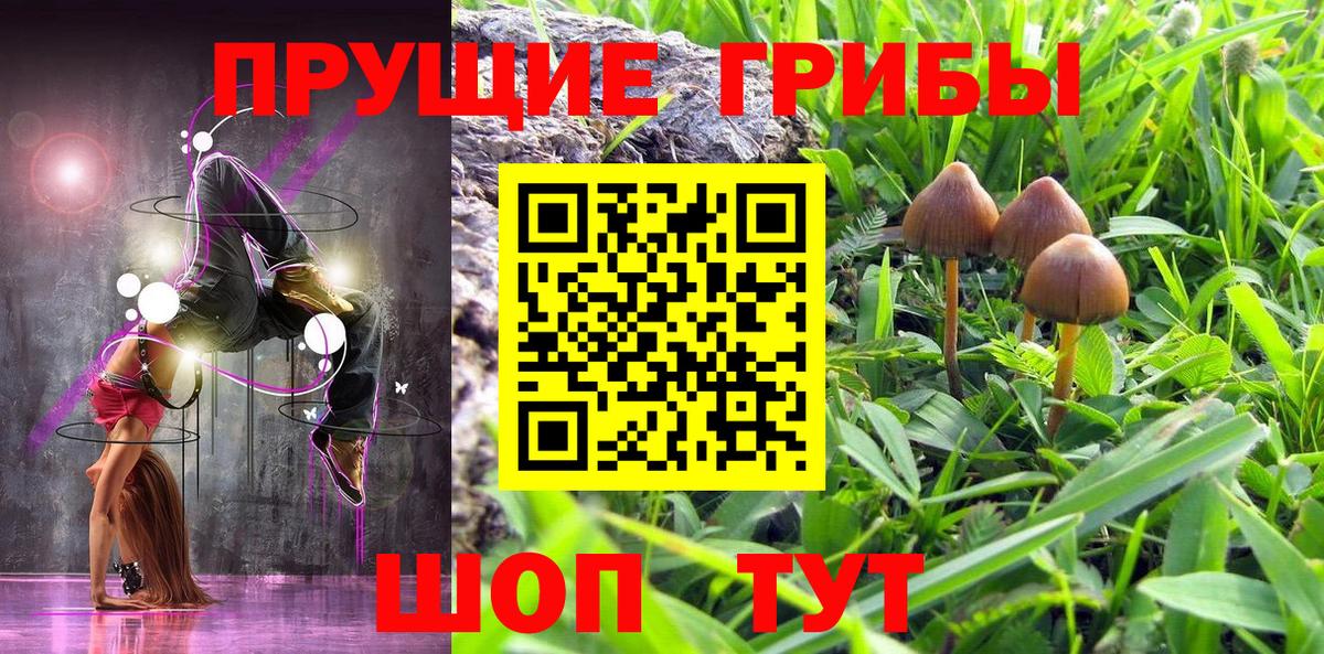 Галлюциногенные грибы GOLDEN TEACHER Слободской